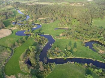 The Drwęca River, photo: Marcin Karasiński