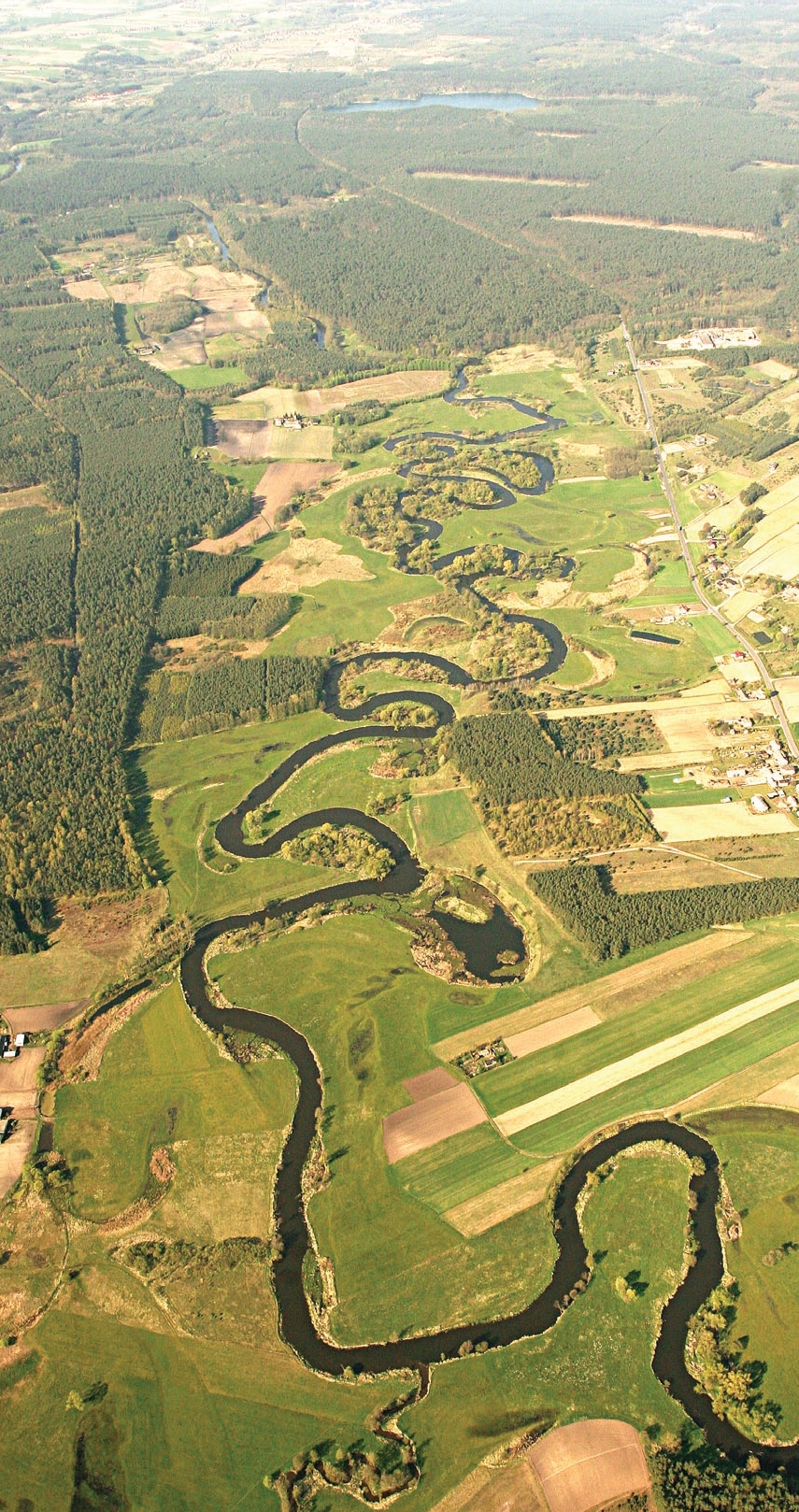 The Drwęca River