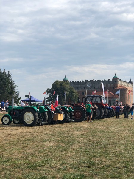 XII Zlot i Wystawa Starych Ciągników i Maszyn Rolniczych - zdjęcie nr 7