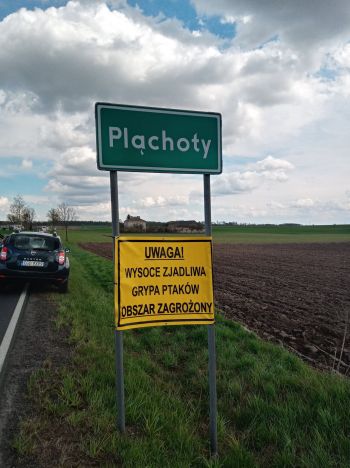 Zagrożenie grypą ptaków - zdjęcie nr 2