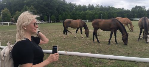 IMG_20240713_111523