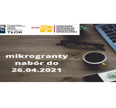 Mikrogranty OWES TŁOK 2021